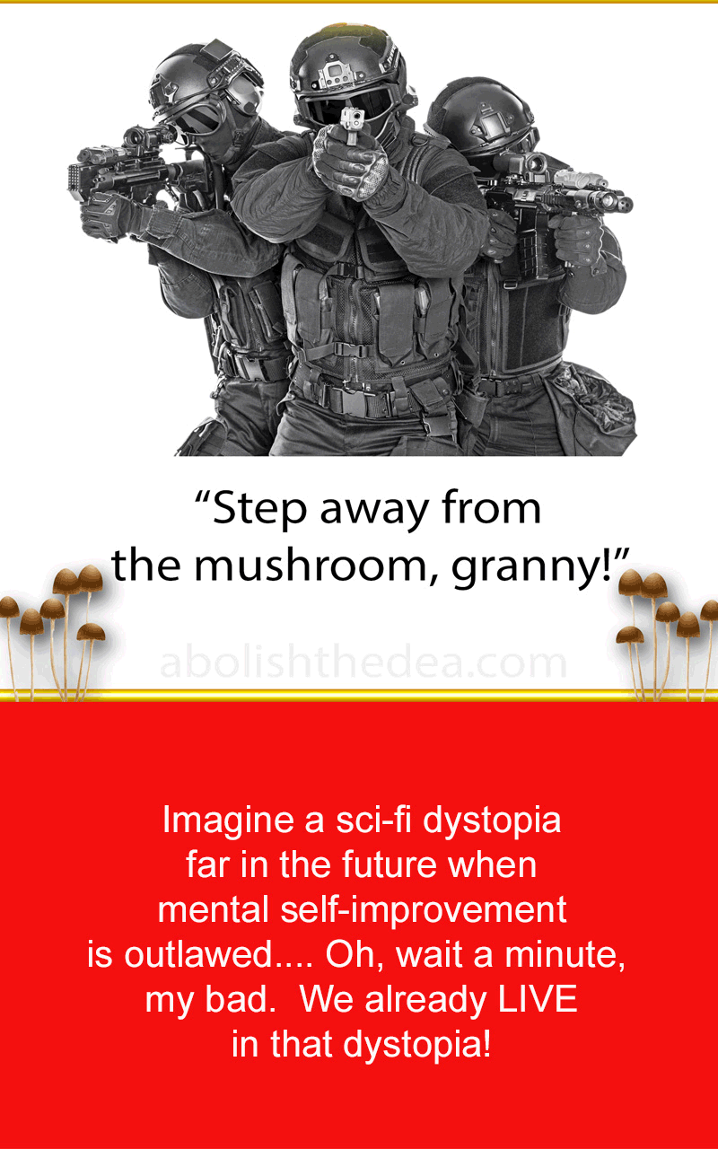Step away from the mushroom, grandma!