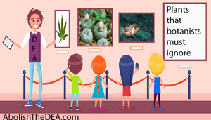 kids learn to identify the plants that they are not allowed to study