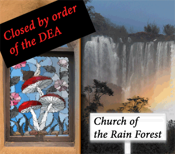 Church of the Rain Forest, closed by the DEA. Found not to be a genuine religion by pen-pushers in Washington, DC.