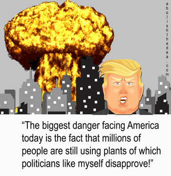 Nuclear bomb goes off as Drug Warrior Trump is raging about the dangers of plant medicine of which he disapproves.