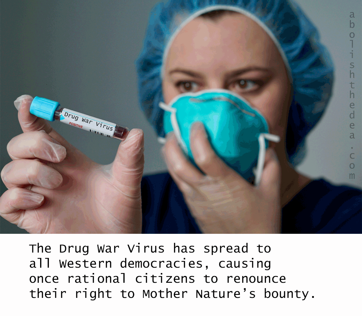Virus Update