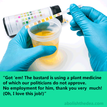 Morally bankrupt tech searches for evil plant medicine in the urine of job-seeking American.