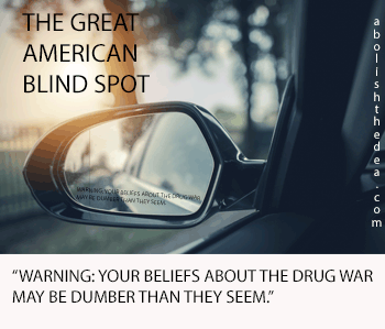 Mirror text: 'Warning, your beliefs about the drug war may be more naive than they seem.'