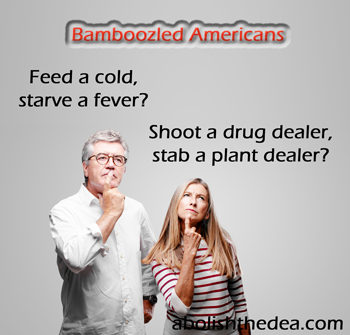 Feed a cold, starve a fever, shoot a drug dealer?