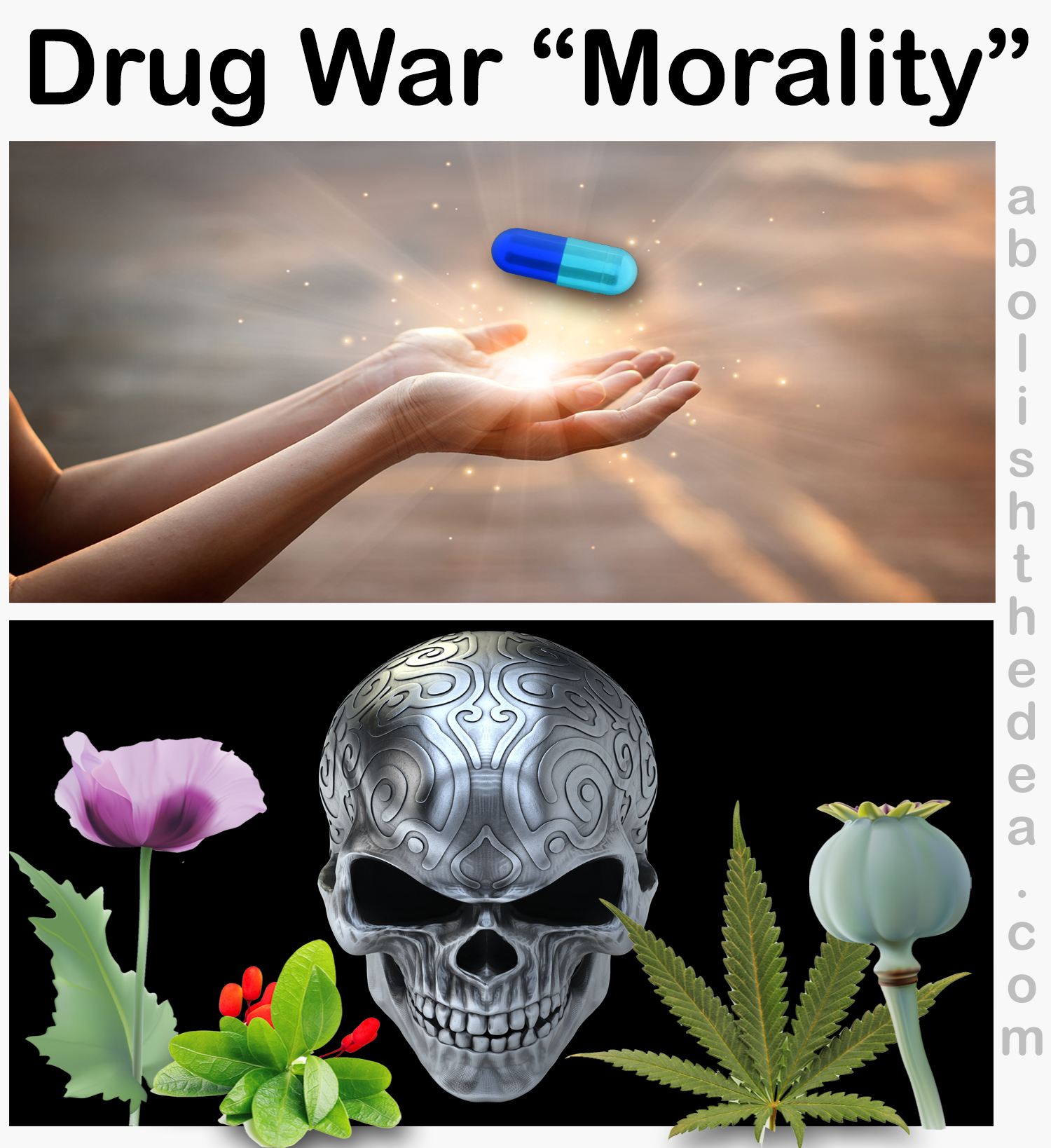 Drug Warrior Lies on the Internet Movie Database