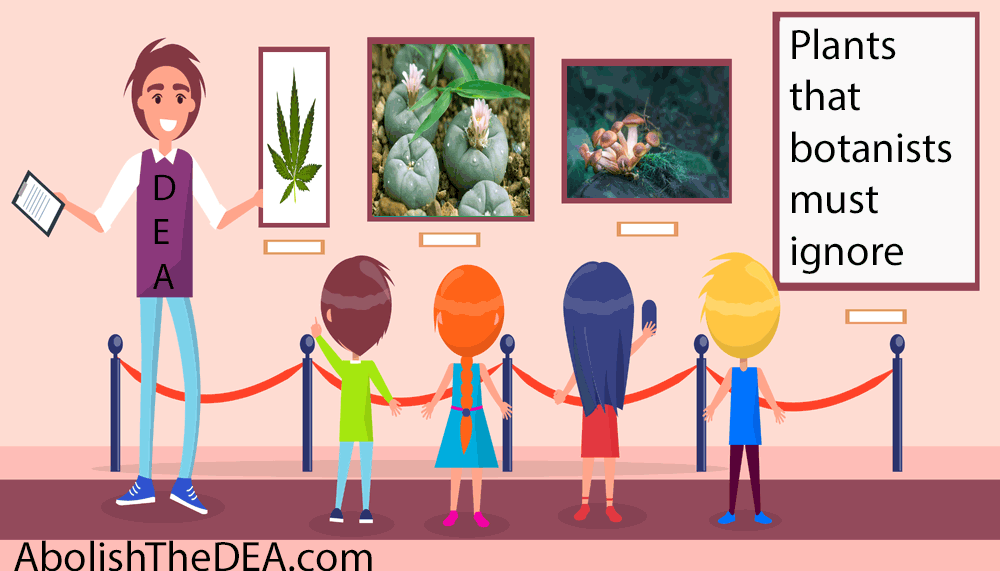 How the drug war promotes drug abuse