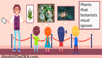 The drug war represents a superstitious way of thinking about plant substances, that they are either good or bad, whereas substances a morally neutral