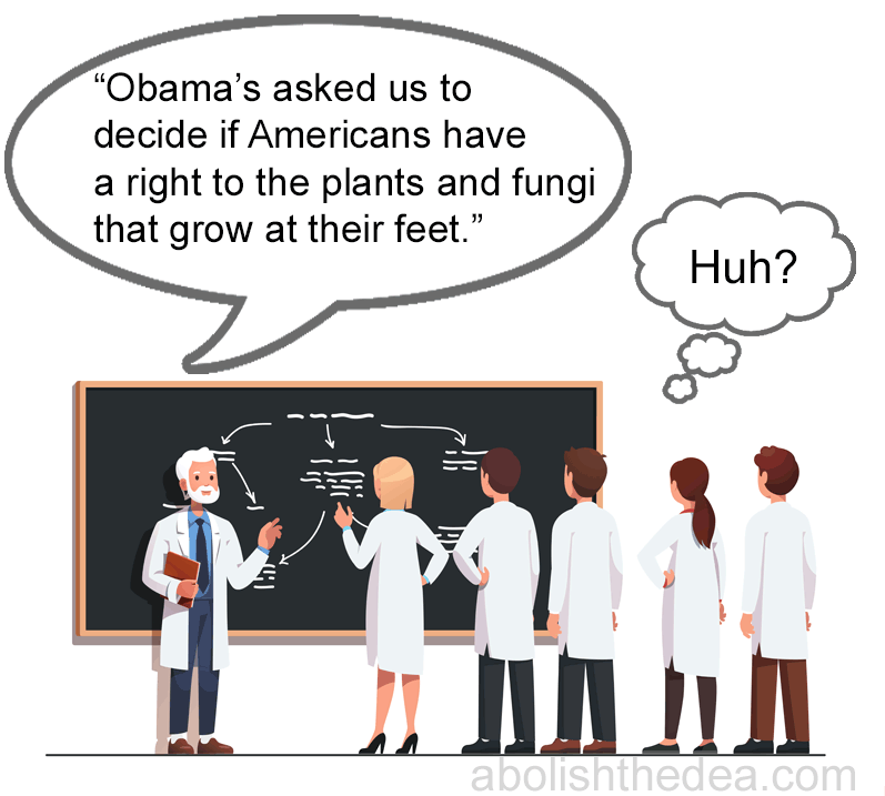 What Obama got wrong about drugs