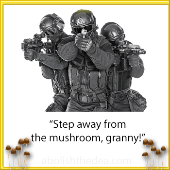 Drug War SWAT team pointing guns, shouting, 'Step away from the mushroom, granny!'