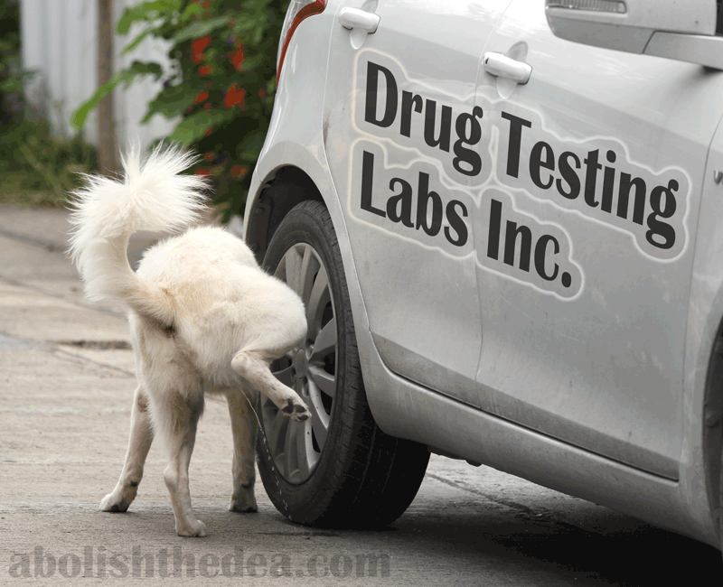 Dog urinating on vehicle inscribed with the words 'Drug Testing Labs Inc.'