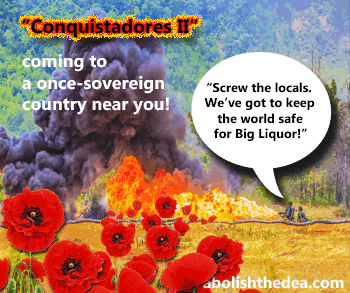 Field of red poppies in foreground, smoke in background, as imperialist soldiers use flame throwers to destroy flowers overseas, exactly as if Muslims came stateside to burn vineyards.