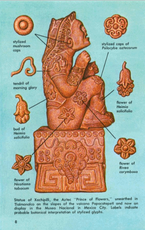 Drawing of the Aztec god Xochipilli, surrounded by ecstasy-inducing plants and fungi.