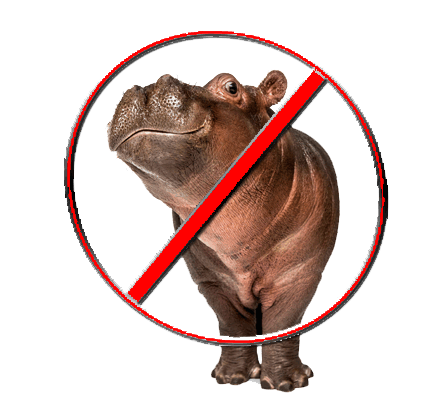 It's Time to Exterminate Hippopotami