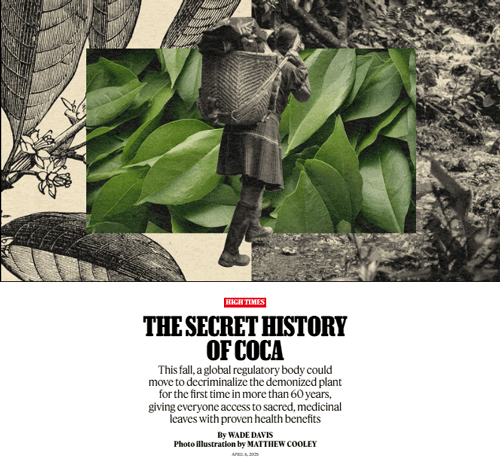 Screen shot of the leaf-filled montage associated with the article by Wade Davis entitled The Secret History of Coca in the April 2025 edition of Rolling Stone magazine.