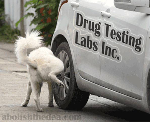 Dog urinating on vehicle inscribed with the words 'Drug Testing Labs Inc.'