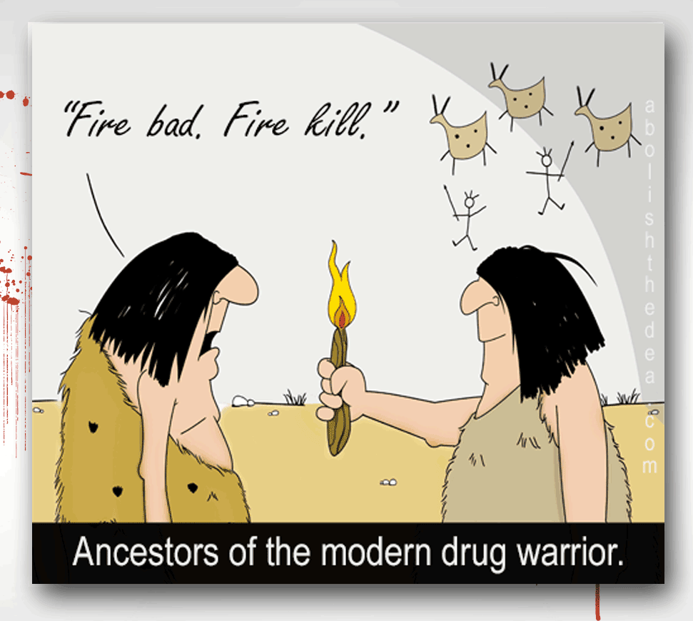 Two cavemen in cave.  Caveman on right, holding burning stick toward second caveman on left. Caveman on left says: 'Fire bad. Fire kill.'