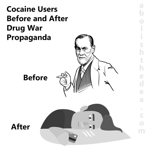 Cartoon depicting cocaine users before and after Drug War propaganda.  The before picture shows suave and debonair Sigmund Freud, the after picture shows a loser madly snorting the drug.