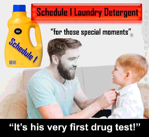 Ad for Schedule 1 Laundry Detergent 'for those special moments', bottle on top left. In center, young proud father fixing tie on his preteen son, with the caption 'It's his very first drug test!'
