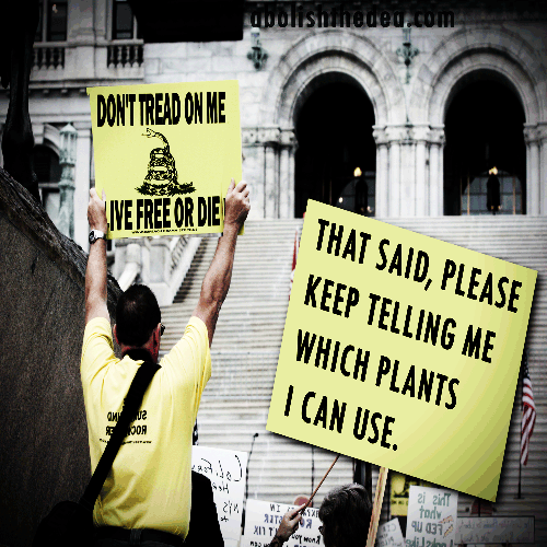  (abolishthedea.com)