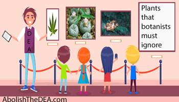 The drug war promotes drug abuse by superstitiously pretending that plant medicines are evil in and of themselves, when plant medicines are morally neutral and only good and bad with respect to how and why they are used