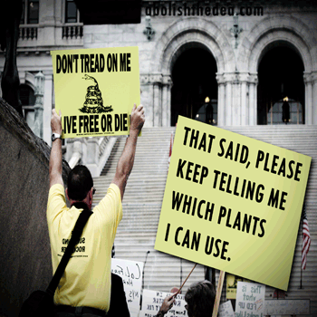 loony drug warrior chop logic designed to demonize mother nature's plant medicines