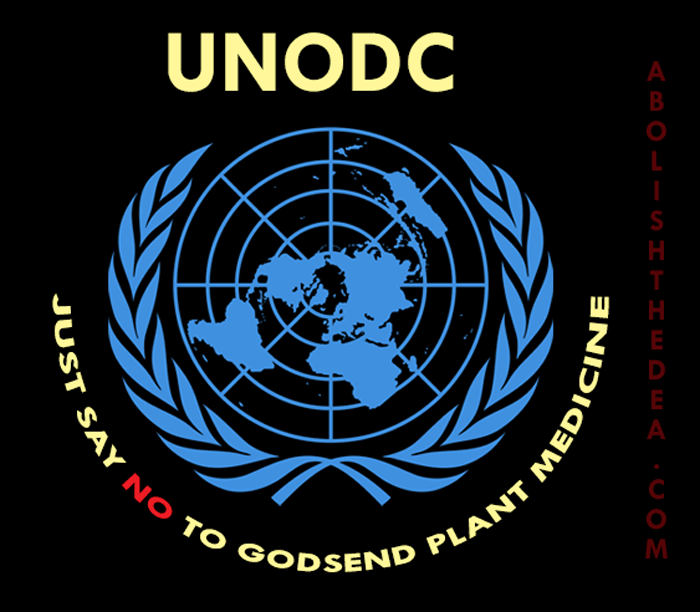 The UNODC is part of the problem: the drug war causes all the problems that it's supposed to fix.