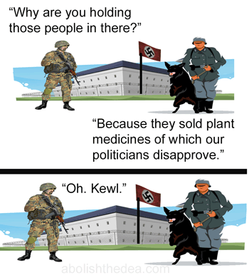 more thoughts on the book Drug Warriors and their Prey
