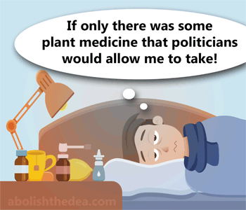 America does not want a cure for the common cold -- because it involves the use of demonized opium -- demonized to give Big Liquor a monopoly on solacing us in our distress