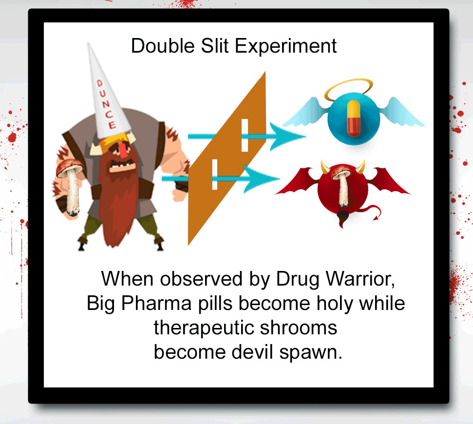 The Double Slit Experiment demonstrated that light can behave either as a particle or a wave, depending on how we look at it. In America, a psychoactive substance can behave either as a blessing or a curse, depending on how we look at it. (from the Drug War Philosopher at abolishthedea.com) Cartoon shows ogre with long red beard wearing dunce cap as he looks through two slits, seeing a Big Pharma pill on the left depicted as heavenly and a psychedelic mushroom on the right depicted as devilish.