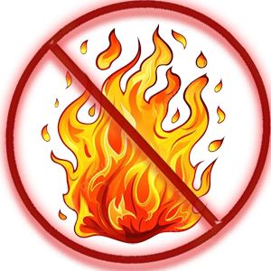A no-fire symbol with cartoon flames inside a red circle.